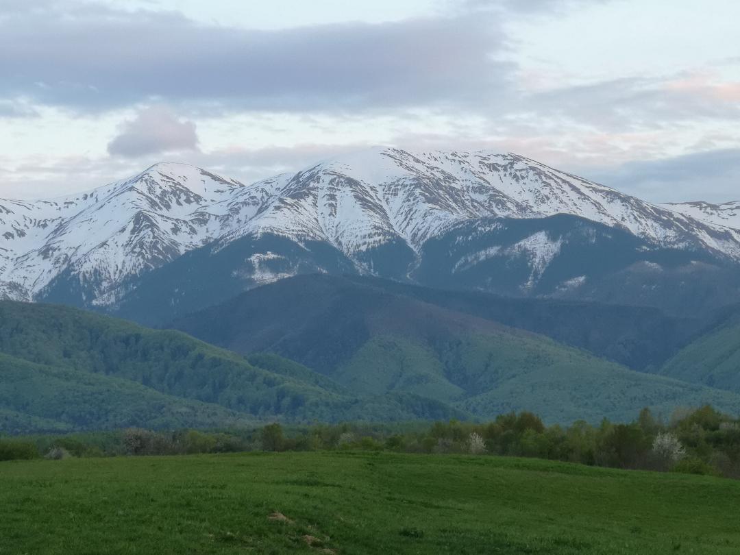 OCHII MUNTILOR FAGARAS
